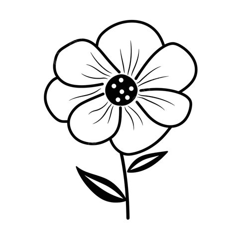 Flower Clipart Black And White Vector Images .